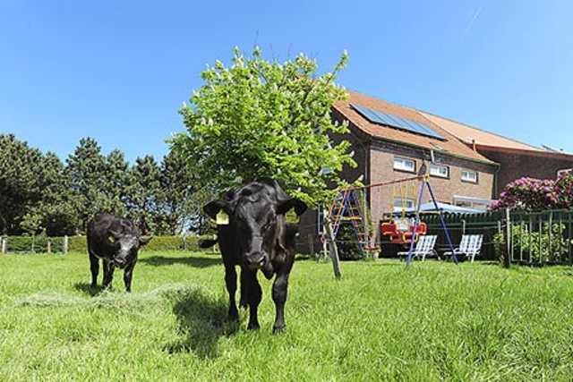 Ferienhof Janssen in Westerholt - Ferienwohnung Bauernhof an der Nordsee