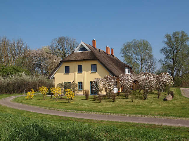 Sonniges Reetdachhaus - Ferienreetdachhaus, 3 SZ,  Ferienhaus an der Ostsee