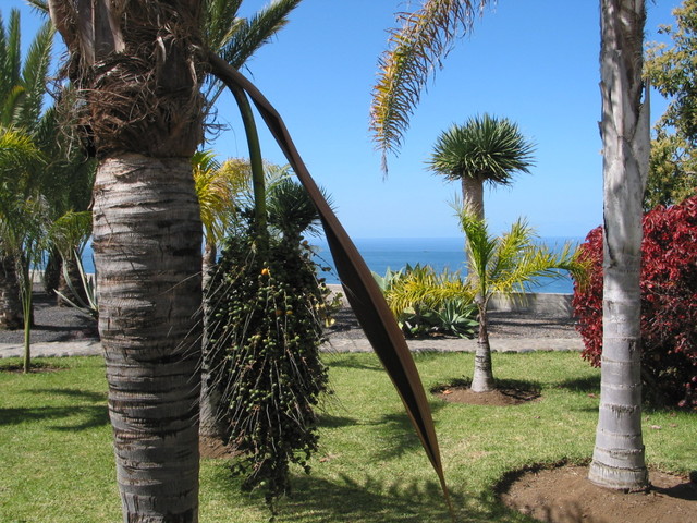 Ferienwohnung Finca Marina - Apartment 2 - Bougainville (457827), Marina (ES), La Palma, Kanarische Inseln, Spanien, Bild 7