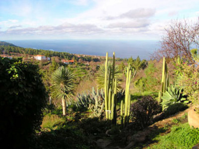 Ferienhaus La Pelada (457778), Las Tricias, La Palma, Kanarische Inseln, Spanien, Bild 2