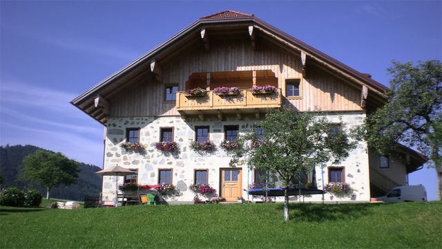Ferienhof Mayrhofer - Ferienwohnung Wiesengrü Ferienwohnung  Oberösterreich