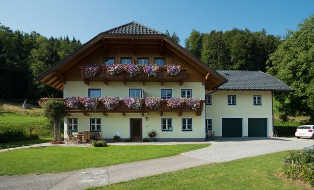 Haus Kendlinger - Apartment mit Küchenzeile Ferienwohnung in Österreich