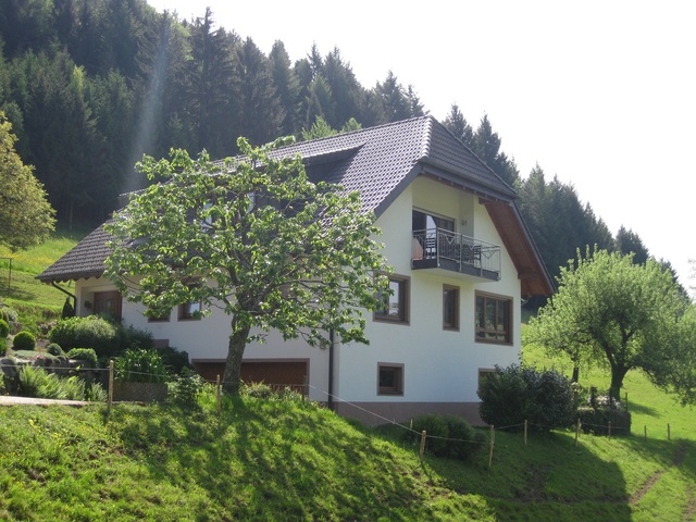 Mockhof - Bachhüsliblick Ferienwohnung im Bayerischer Wald