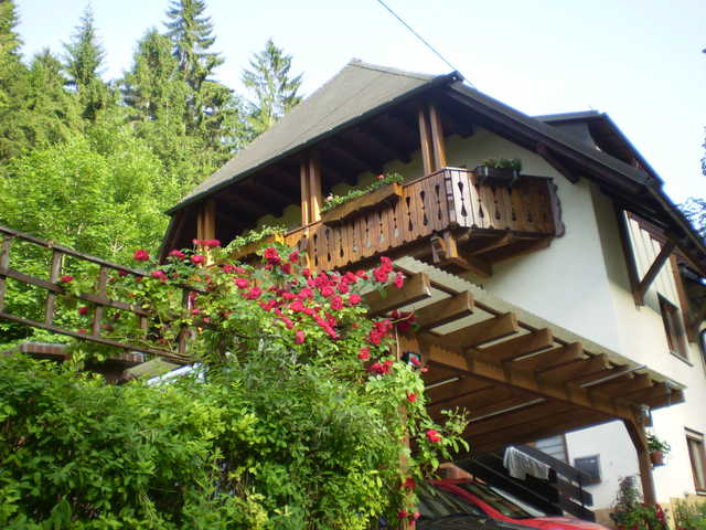 Haus am Bach - Ferienwohnung 30qm, 1 Wohn-/Schlafr Ferienwohnung  Schwarzwald