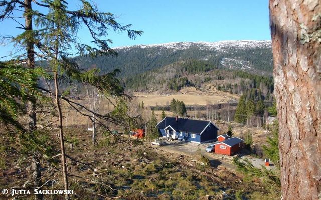 Holiday house Elghaugen - Hütte (2673642), Mosvik, Tröndelag north - Trondheim fjord north, Central Norway, Norway, picture 3