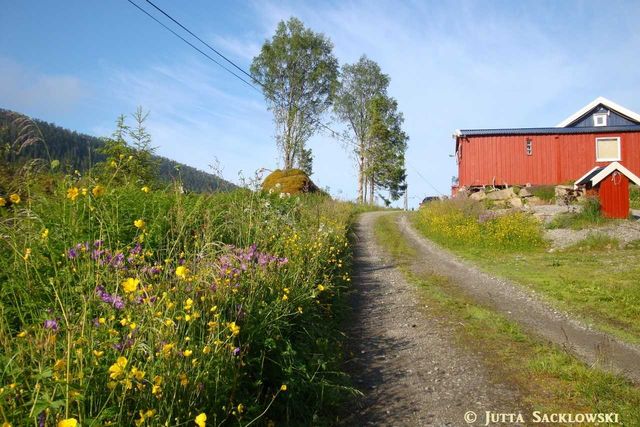 Holiday house Elghaugen - Hütte (2673642), Mosvik, Tröndelag north - Trondheim fjord north, Central Norway, Norway, picture 8