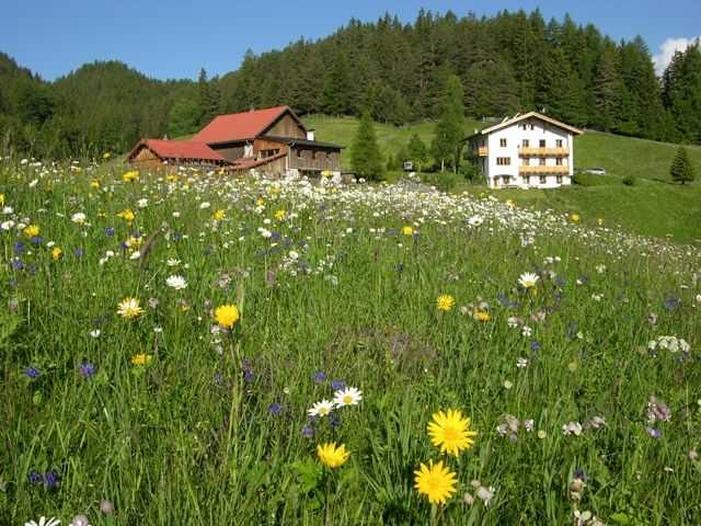 Bauernhof Tiefhof - Fewo Mutzkopf  2-4 Ferienwohnung  Tirol
