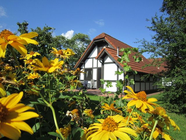 Ferienhaus Deichgraf 86 im Feriendorf Altes Land - Ferienwohnung  Hollern-Twielenfleth