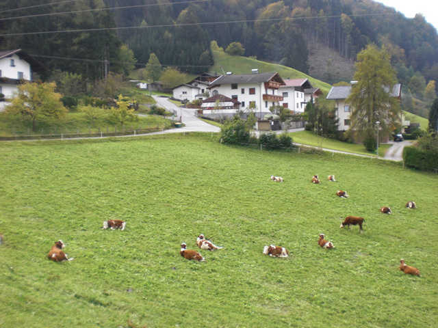 Ferienwohnung Haus Pfandler - Zimmer mit Frühstück (2) (2322384), Untertroi, Karwendel, Tirol, Österreich, Bild 4