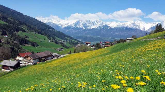 Ferienwohnung Floachhof - qualitätsgeprüfter 4 Blumen Urlaub am Bauernhof - Ferienwohnung Hirzerblick (2316137), Weerberg, Karwendel, Tirol, Österreich, Bild 19