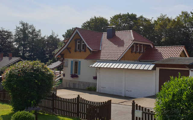 Gruppenhaus bis 30 Personen Villa  Niedersachsen Harz