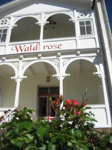 Pension Waldrose - Mönchgut Ferienwohnung auf Rügen