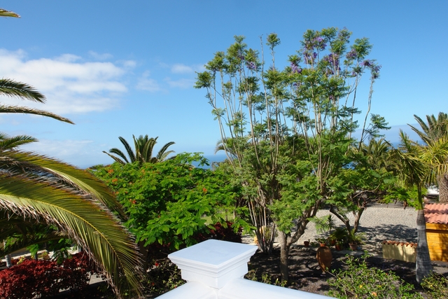 Ferienwohnung Finca Marina - Apartment 2 - Bougainville (457827), Marina (ES), La Palma, Kanarische Inseln, Spanien, Bild 18